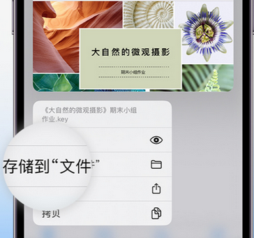 永城apple维修中心分享iPhone文件应用中存储和找到下载文件