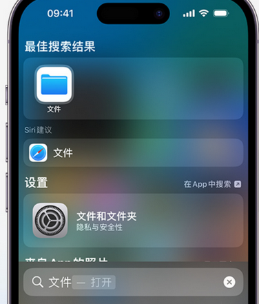 永城apple维修中心分享iPhone文件应用中存储和找到下载文件 