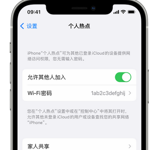 永城apple服务站点分享iPhone上个人热点丢失了怎么办 