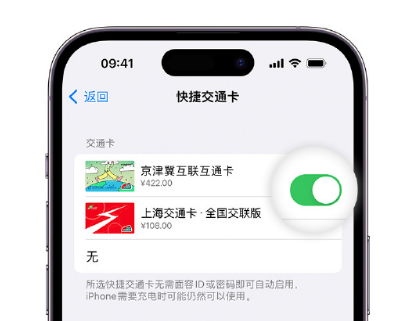 永城apple维修点分享iPhone上更换Apple Pay快捷交通卡手绘卡面 