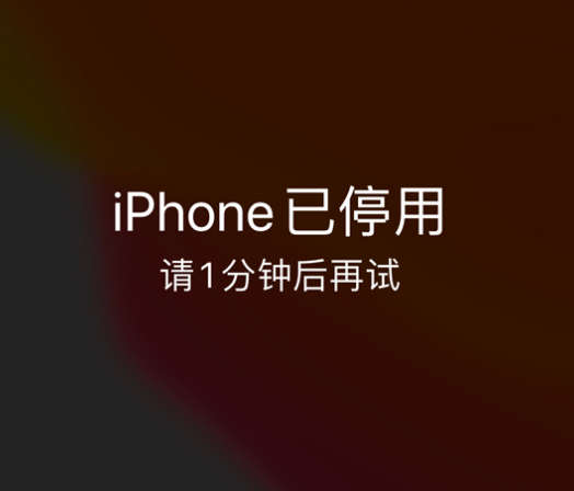 永城苹果手机维修分享:iPhone 显示“不可用”或“已停用”怎么办？还能保留数据吗？ 