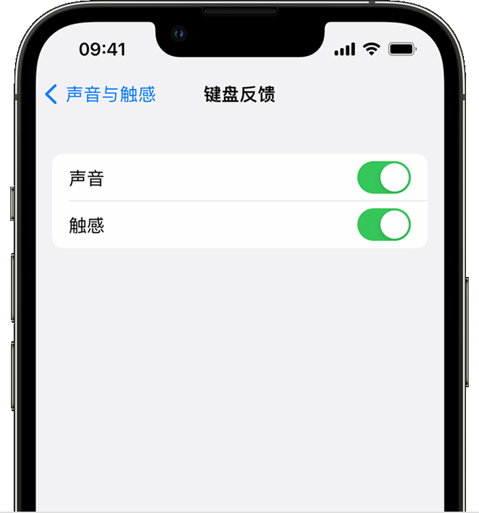 永城苹果14维修店分享如何在 iPhone 14 机型中使用触感键盘 