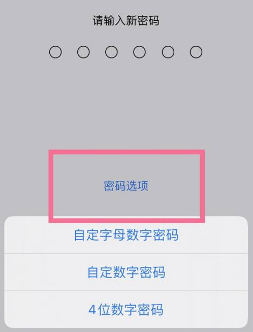 永城苹果14维修分享iPhone 14plus设置密码的方法 