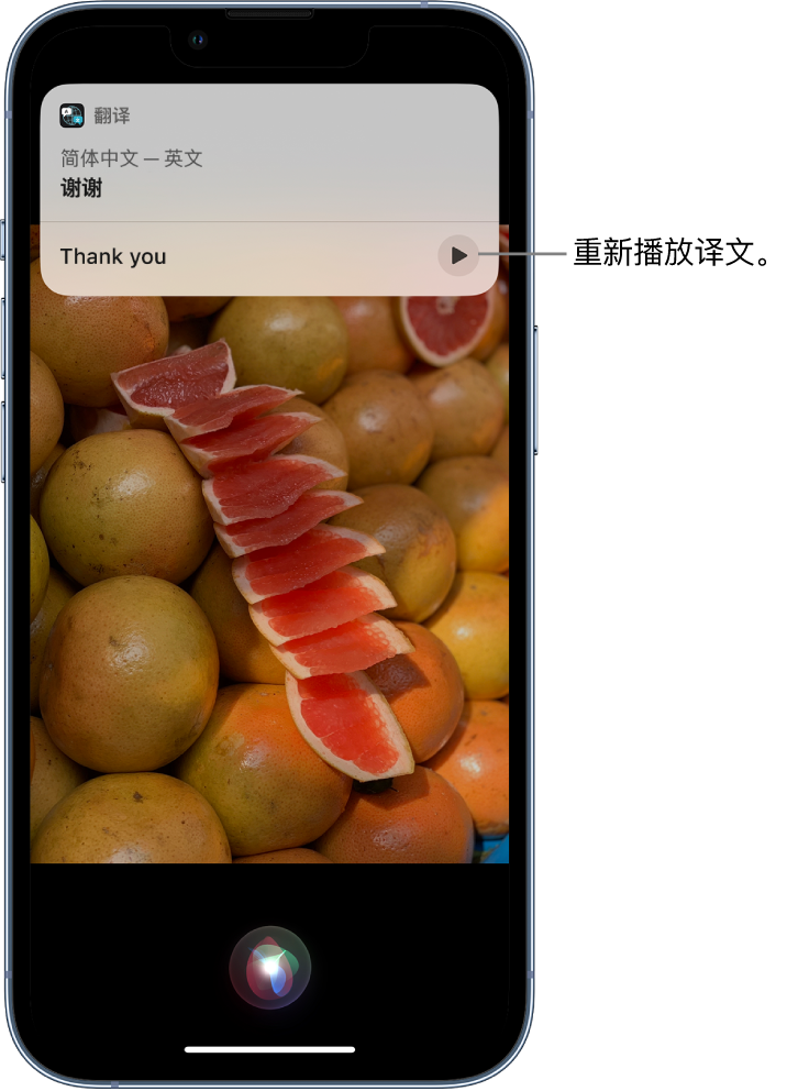 永城苹果14维修分享 iPhone 14 机型中使用 Siri：了解 Siri 能帮你做什么 