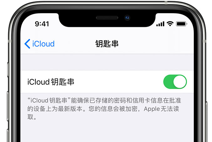 永城苹果手机维修分享在 iPhone 上开启 iCloud 钥匙串之后会储存哪些信息 