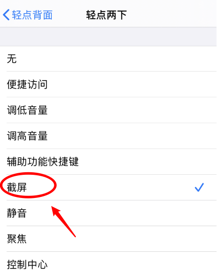 永城苹果手机维修分享iPhone12如何启用双击截屏 