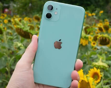 永城苹果维修点分享iPhone 11锁屏密码认知与使用科普 